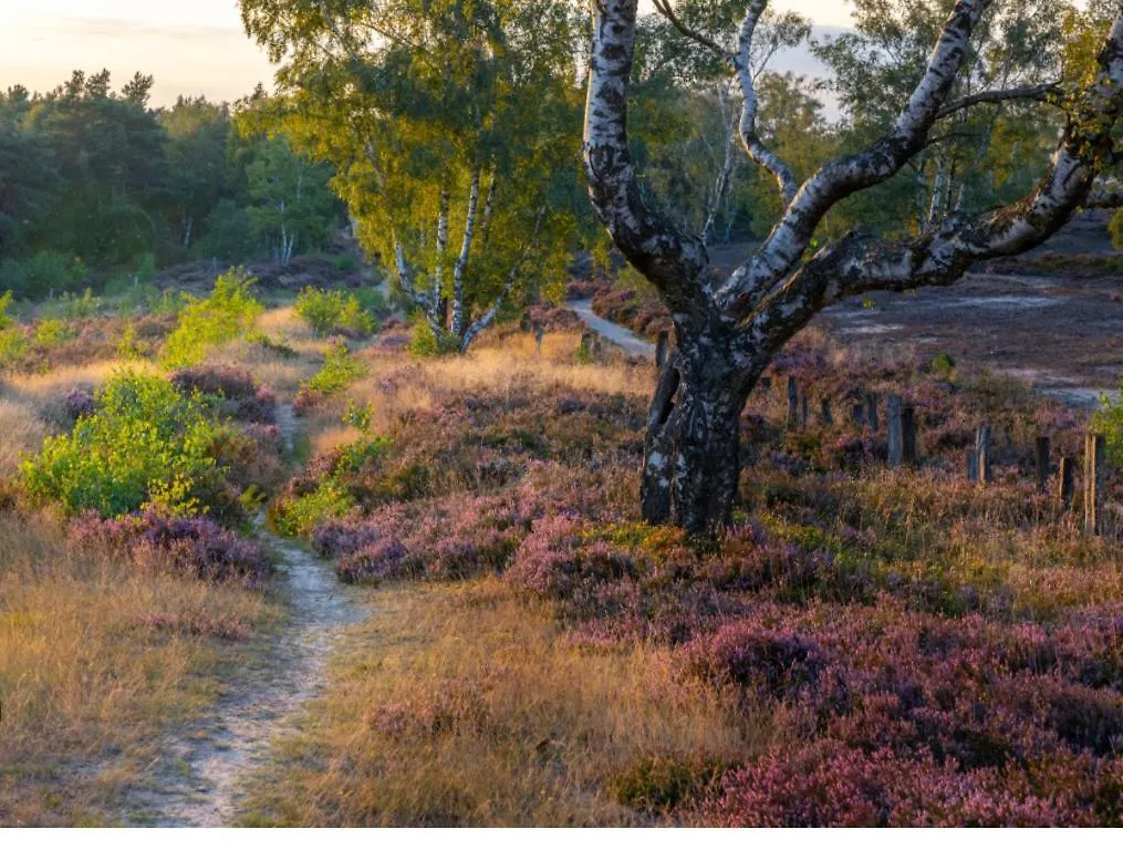 Feelslikehome - Reihenhaus Zwischen Hamburg Und Heide Mit Garten&Garage Neu Wulmstorf